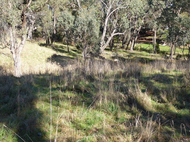 Lot 415 Holm Street, Tumbarumba NSW 2653