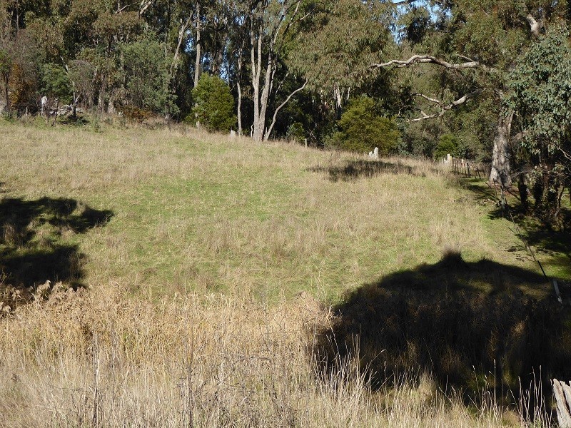 Lot 415 Holm Street, Tumbarumba NSW 2653