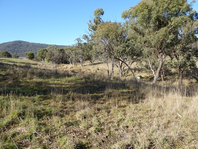 Lot 415 Holm Street, Tumbarumba NSW 2653