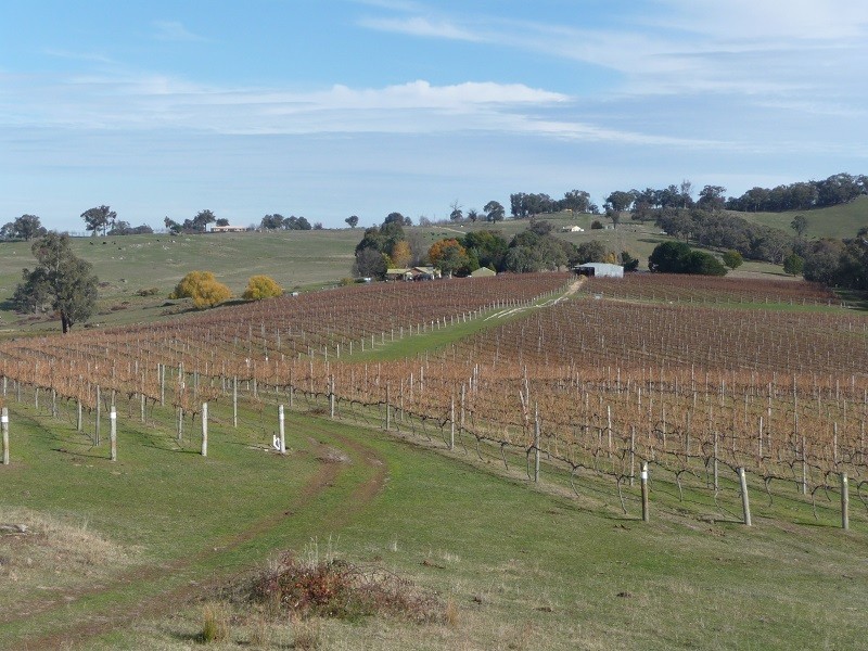 63 Allawah Road, Maragle, Tumbarumba NSW 2653