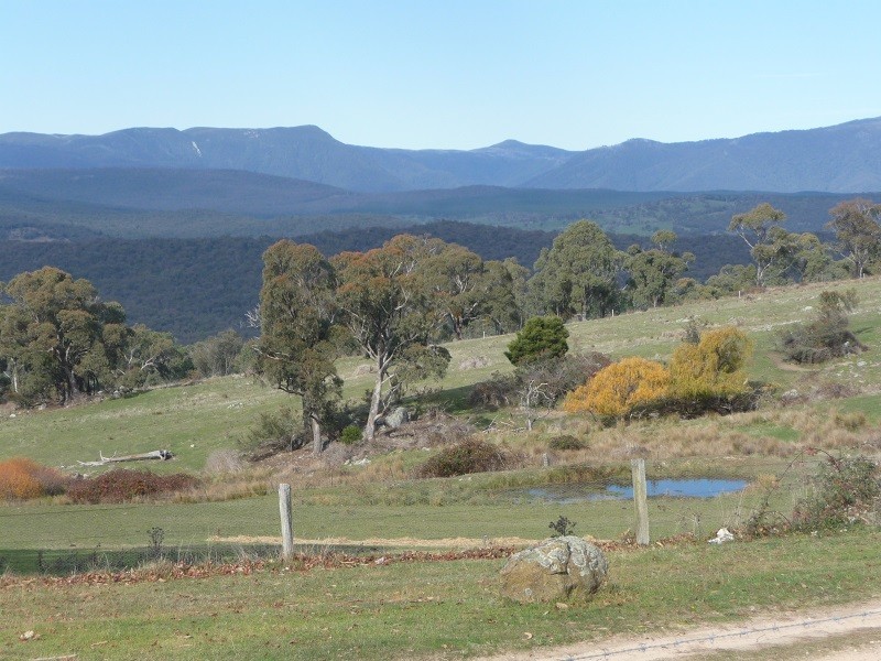 63 Allawah Road, Maragle, Tumbarumba NSW 2653