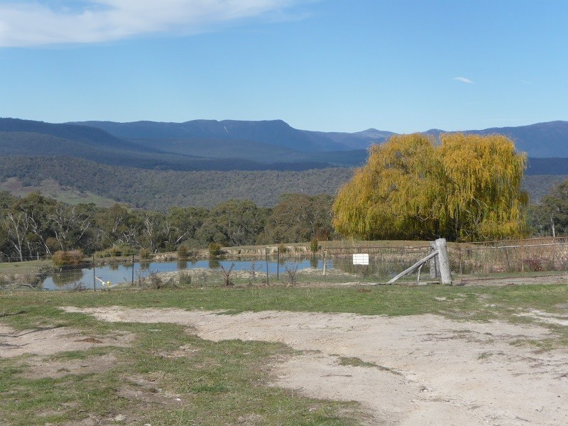 63 Allawah Road, Maragle, Tumbarumba NSW 2653