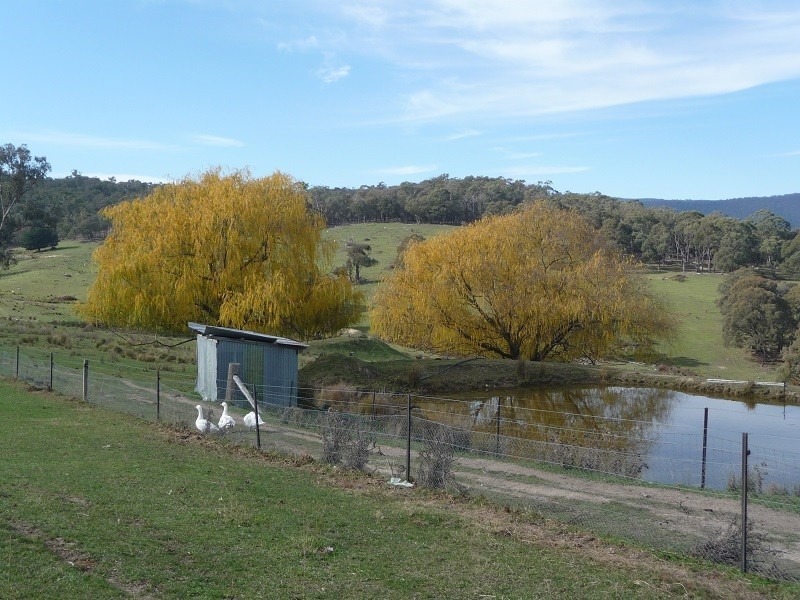 63 Allawah Road, Maragle, Tumbarumba NSW 2653