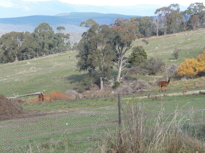63 Allawah Road, Maragle, Tumbarumba NSW 2653