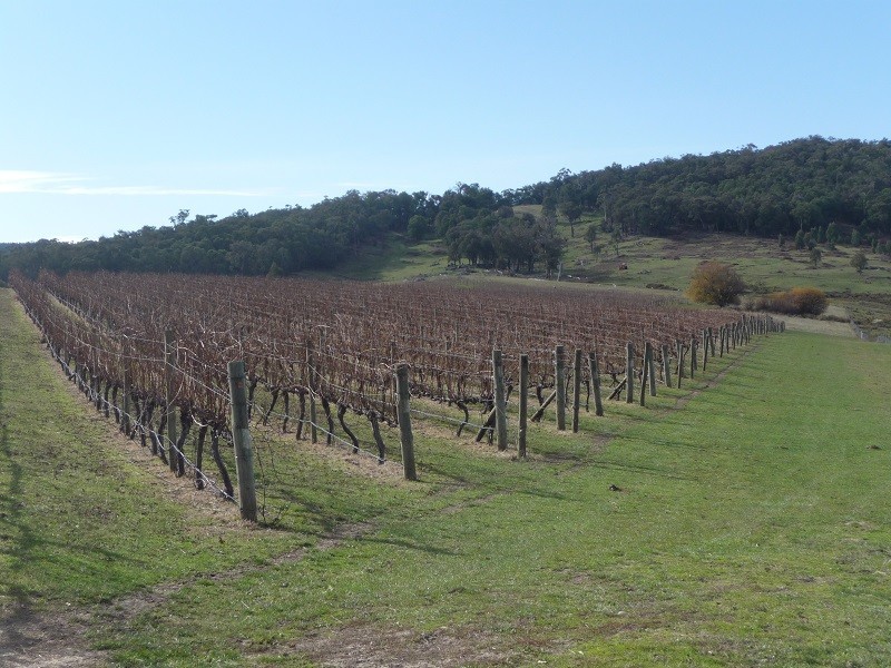 63 Allawah Road, Maragle, Tumbarumba NSW 2653