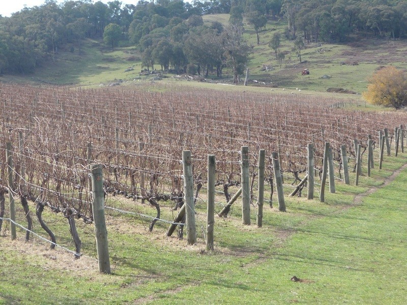 63 Allawah Road, Maragle, Tumbarumba NSW 2653