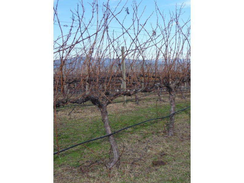 63 Allawah Road, Maragle, Tumbarumba NSW 2653