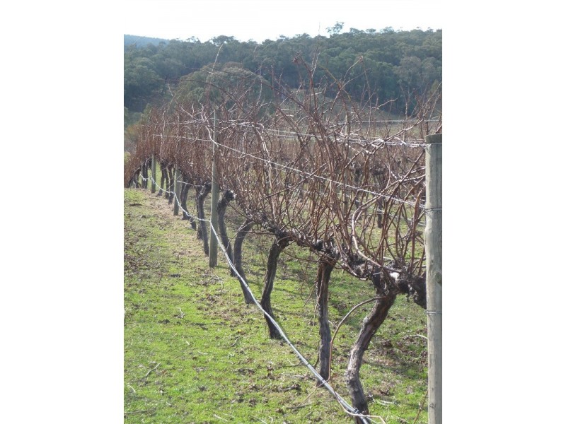 63 Allawah Road, Maragle, Tumbarumba NSW 2653