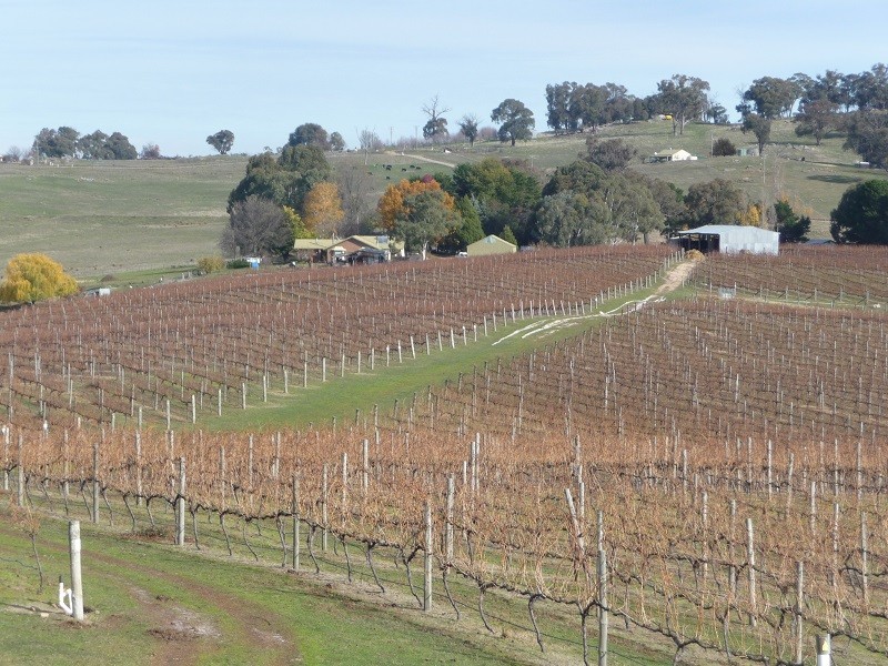 63 Allawah Road, Maragle, Tumbarumba NSW 2653