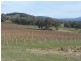 63 Allawah Road, Maragle, Tumbarumba NSW 2653