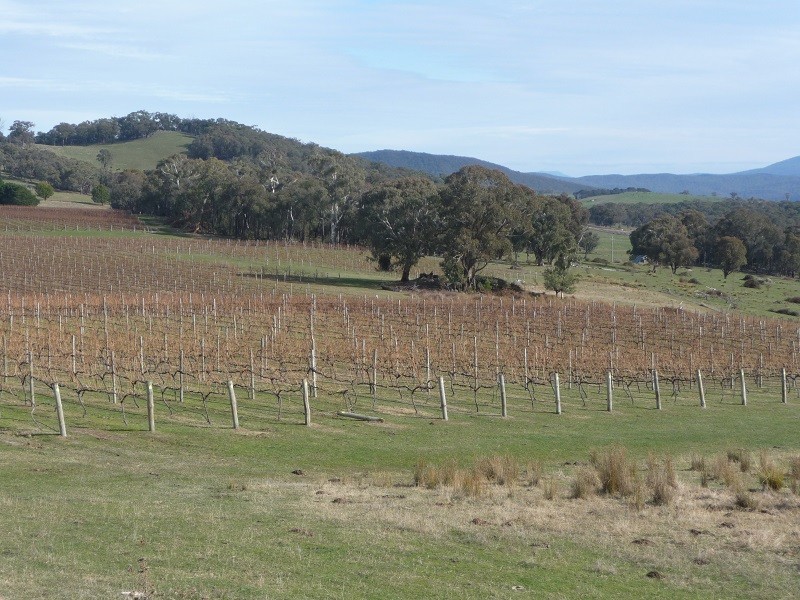 63 Allawah Road, Maragle, Tumbarumba NSW 2653