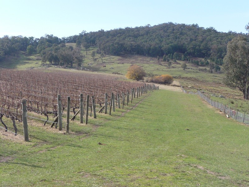 63 Allawah Road, Maragle, Tumbarumba NSW 2653