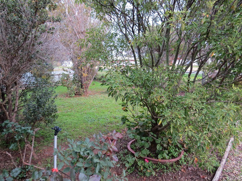 80 Barooga Street, Berrigan NSW 2712