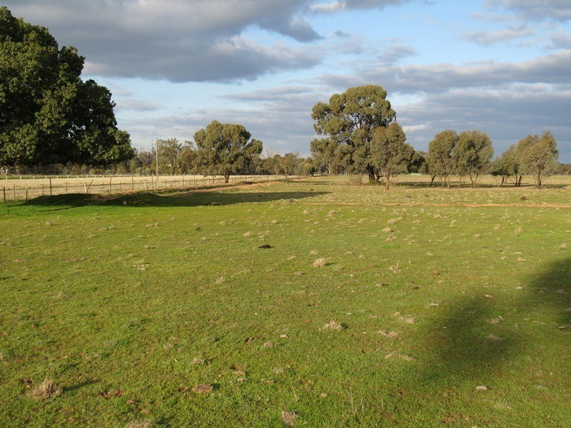 LOT 36 Dahwilly Road, Deniliquin NSW 2710