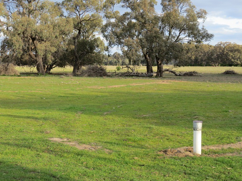 LOT 36 Dahwilly Road, Deniliquin NSW 2710