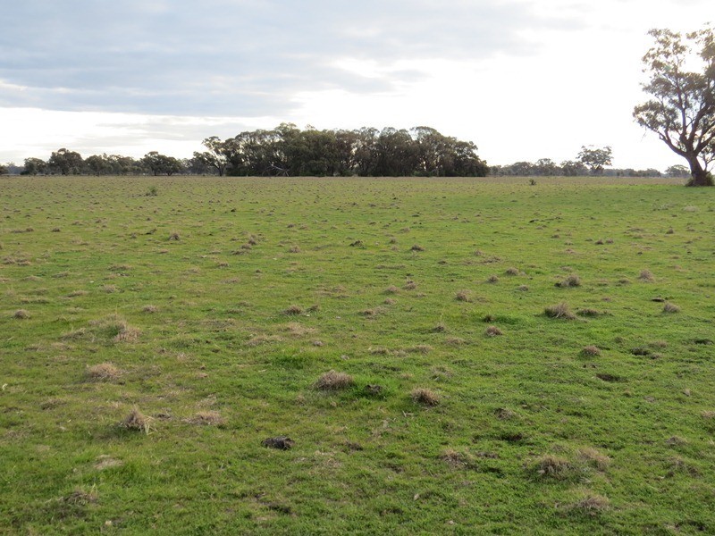 LOT 36 Dahwilly Road, Deniliquin NSW 2710