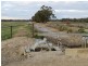 LOT 36 Dahwilly Road, Deniliquin NSW 2710