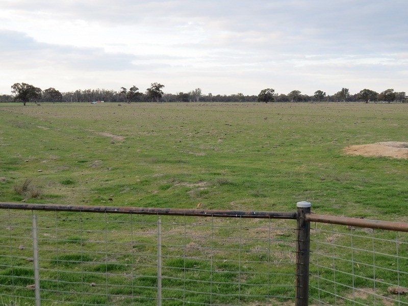 LOT 36 Dahwilly Road, Deniliquin NSW 2710