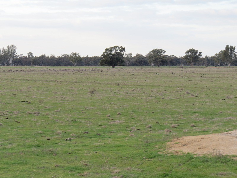 LOT 36 Dahwilly Road, Deniliquin NSW 2710