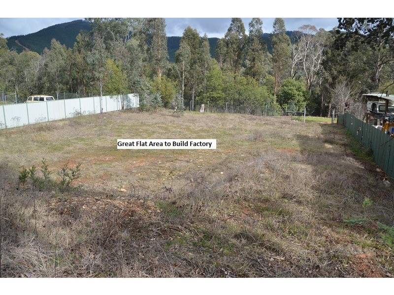 67 Churchill Avenue, Bright VIC 3741