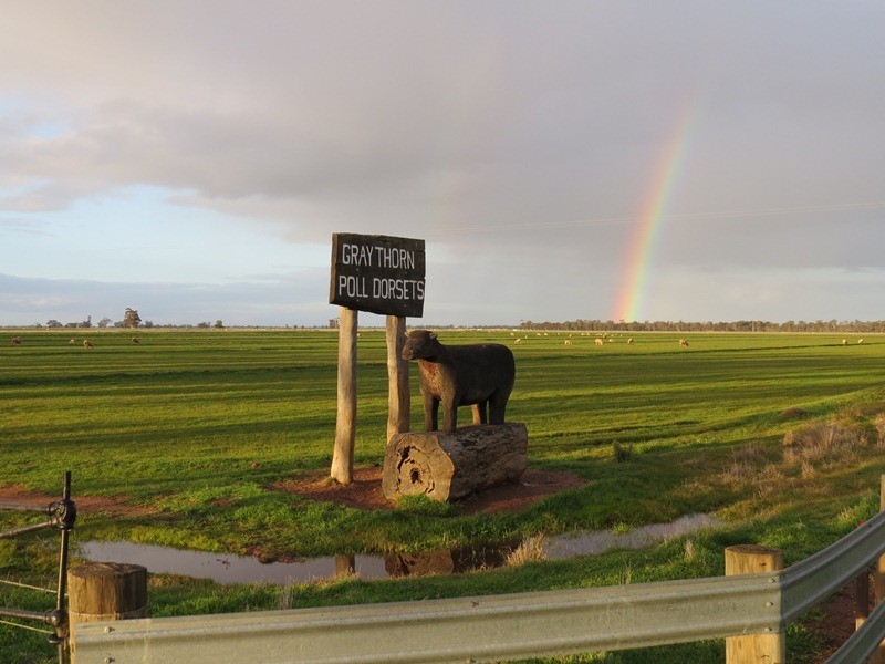 2002 Bunnaloo Road, Bunnaloo NSW 2731