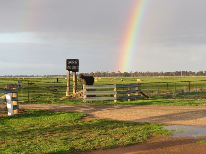 2002 Bunnaloo Road, Bunnaloo NSW 2731