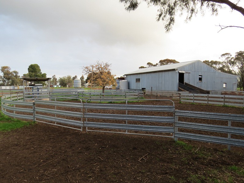 2002 Bunnaloo Road, Bunnaloo NSW 2731