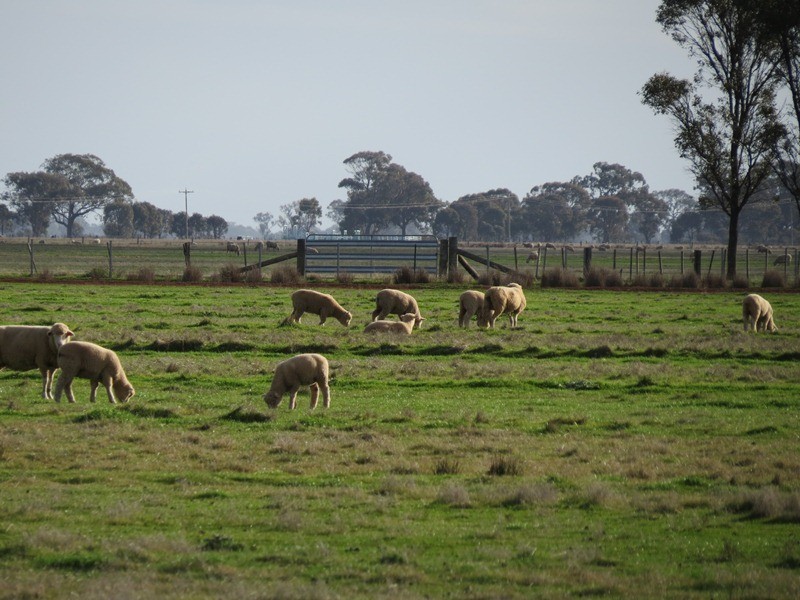 2002 Bunnaloo Road, Bunnaloo NSW 2731