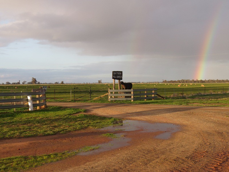 2002 Bunnaloo Road, Bunnaloo NSW 2731