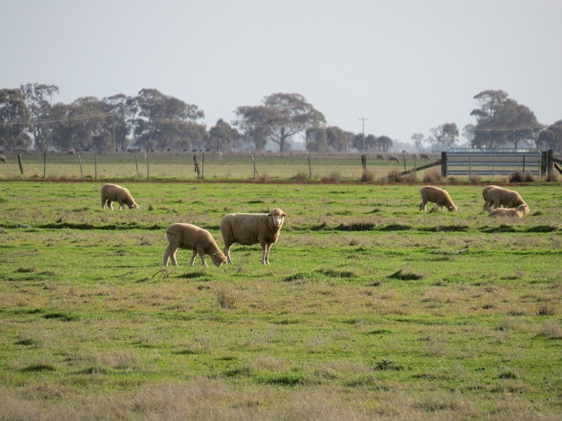 2002 Bunnaloo Road, Bunnaloo NSW 2731