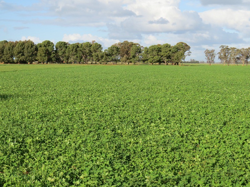 2002 Bunnaloo Road, Bunnaloo NSW 2731