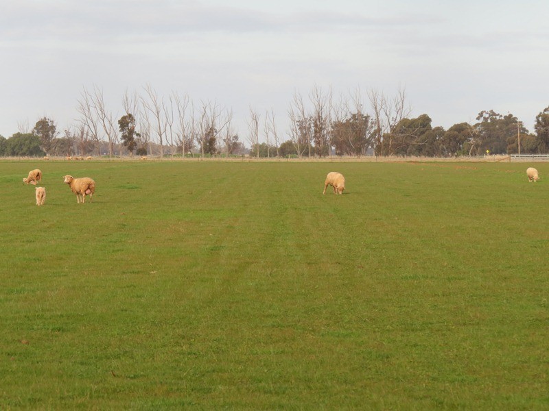 2002 Bunnaloo Road, Bunnaloo NSW 2731