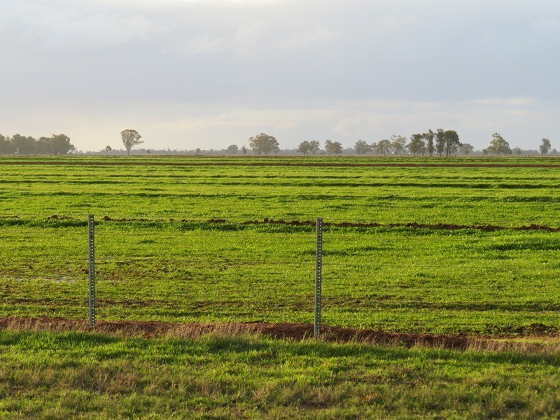 2002 Bunnaloo Road, Bunnaloo NSW 2731