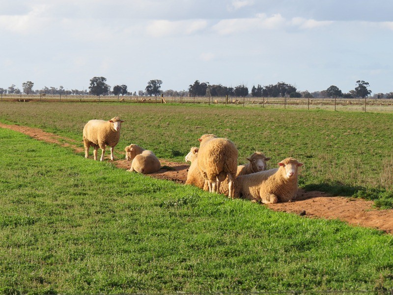 2002 Bunnaloo Road, Bunnaloo NSW 2731