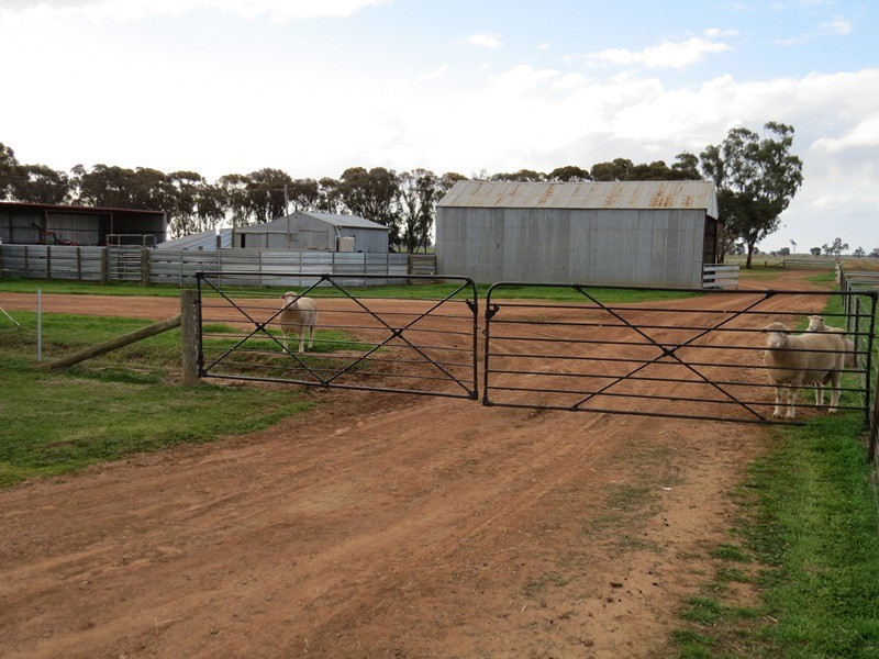 2002 Bunnaloo Road, Bunnaloo NSW 2731