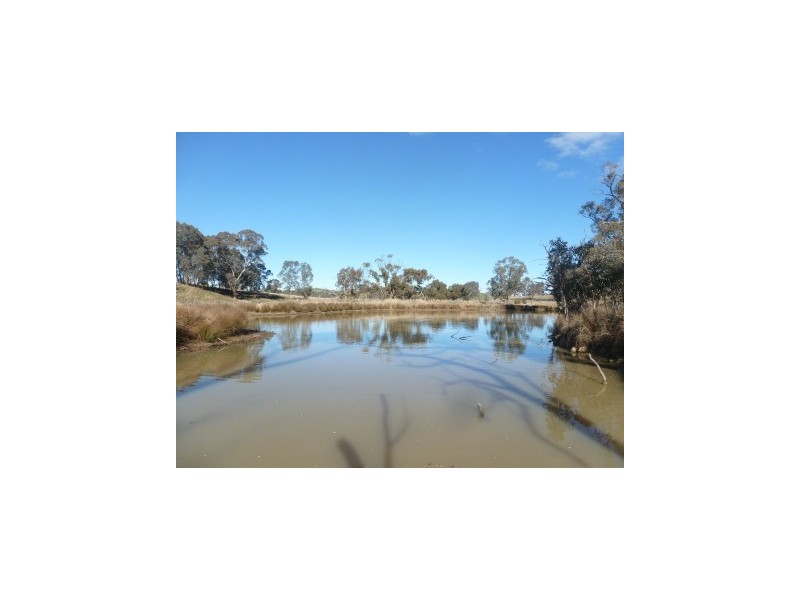 1700 Kenyu Road, Boorowa NSW 2586