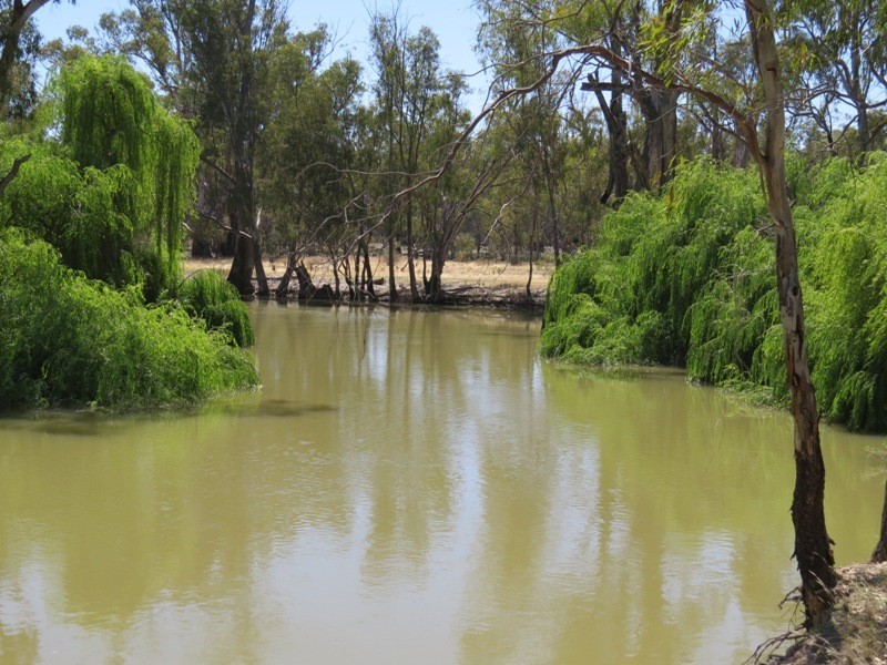 52 Stevens Weir Road, Deniliquin NSW 2710