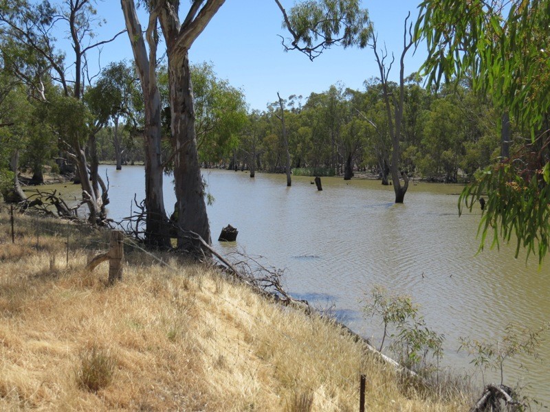52 Stevens Weir Road, Deniliquin NSW 2710