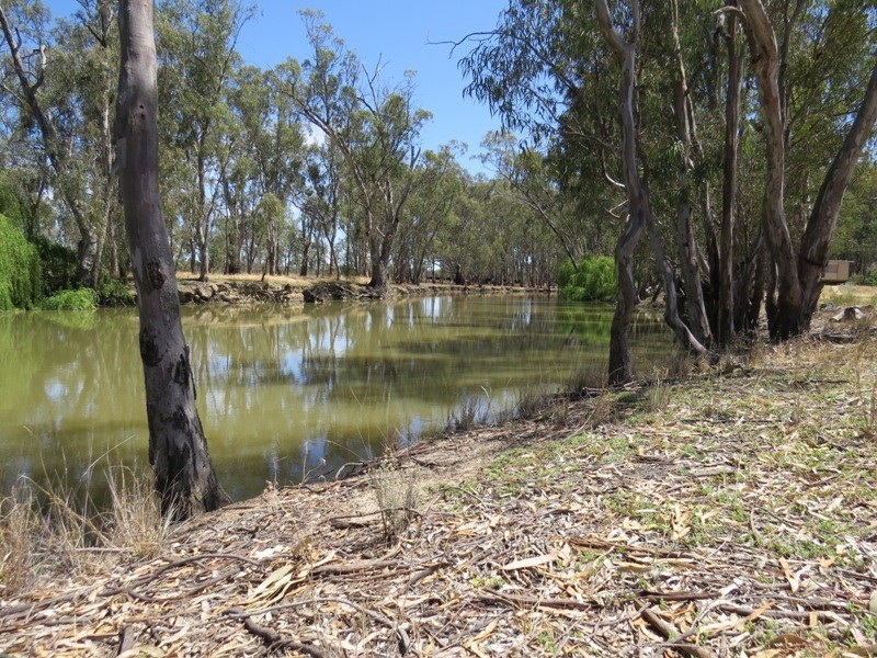 52 Stevens Weir Road, Deniliquin NSW 2710