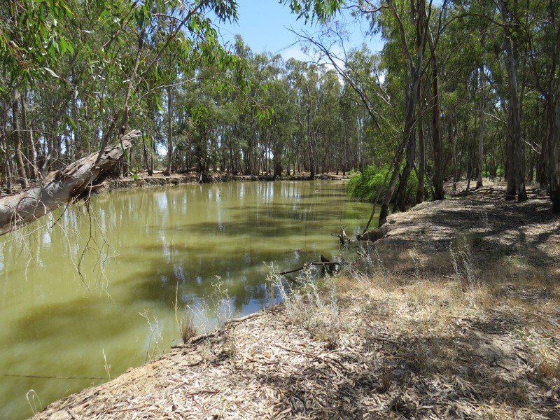 52 Stevens Weir Road, Deniliquin NSW 2710