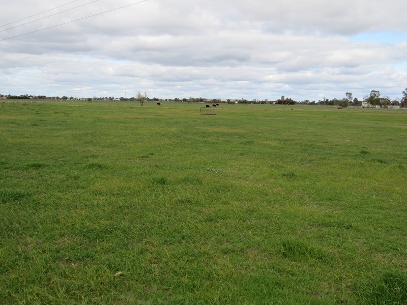 Lot 1 Racecourse Road, Deniliquin NSW 2710