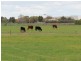 Lot 1 Racecourse Road, Deniliquin NSW 2710