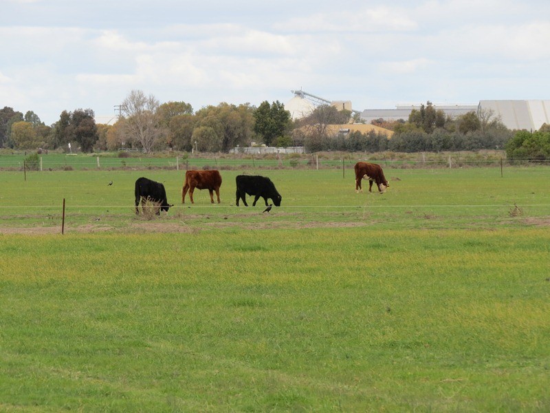 Lot 1 Racecourse Road, Deniliquin NSW 2710