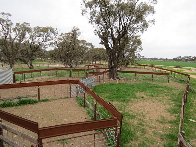 ”Lynore” Wakool Road, Barham NSW 2732