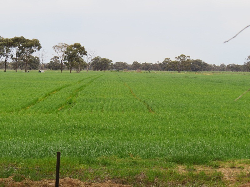 ”Lynore” Wakool Road, Barham NSW 2732