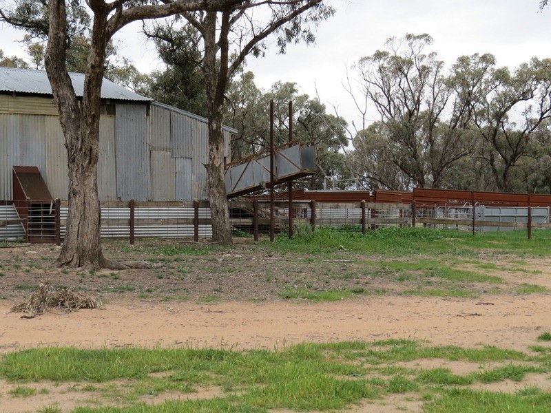 ”Lynore” Wakool Road, Barham NSW 2732