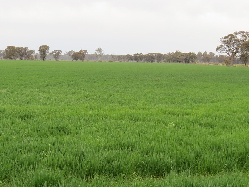 ”Lynore” Wakool Road, Barham NSW 2732