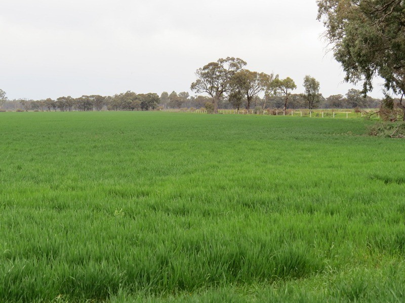 ”Lynore” Wakool Road, Barham NSW 2732