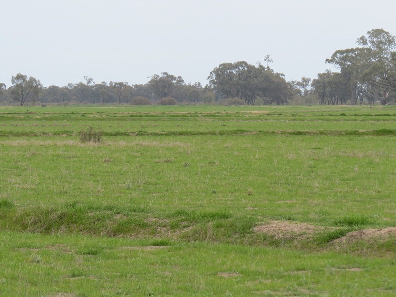 ”Lynore” Wakool Road, Barham NSW 2732