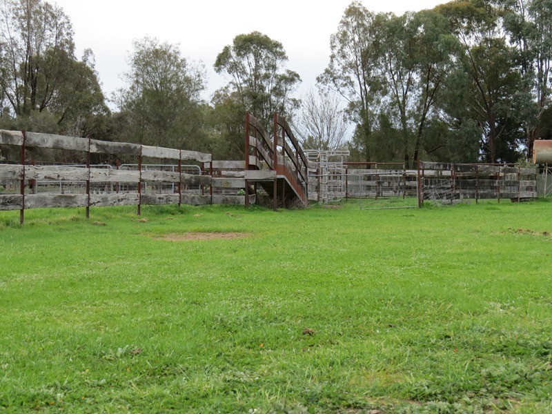 “Lynore” Wakool Road, Barham NSW 2732